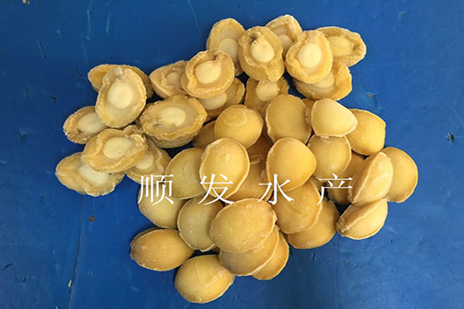 鮑魚(yú)干
